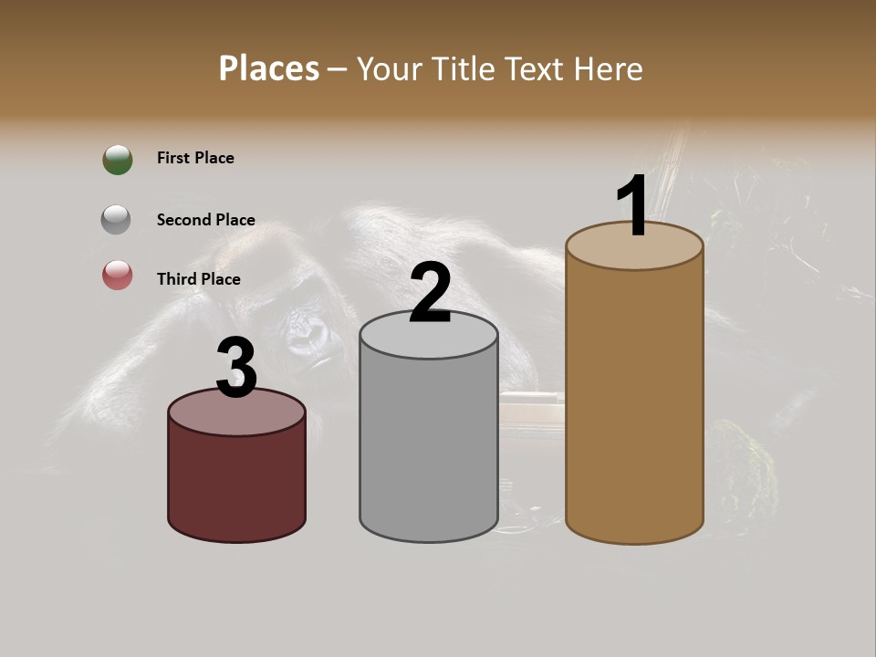 Urwald Baum Affe PowerPoint Template