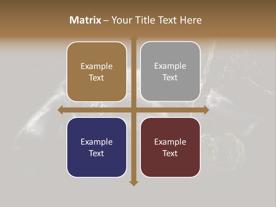 Urwald Baum Affe PowerPoint Template