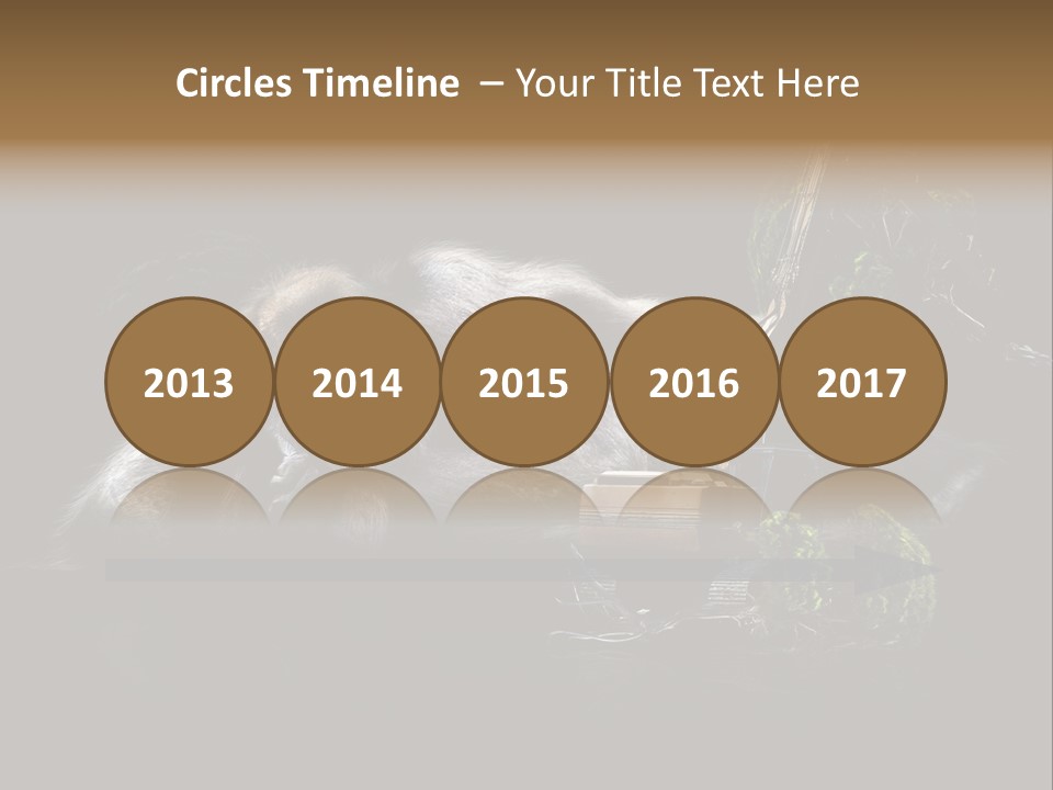 Urwald Baum Affe PowerPoint Template