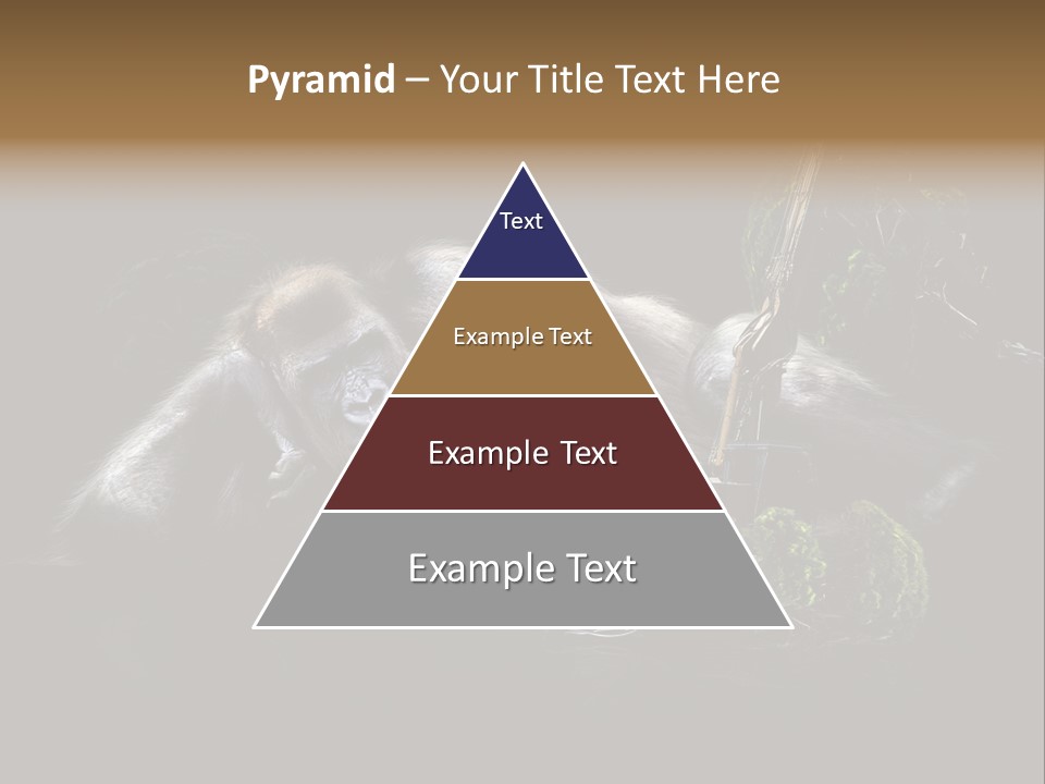 Urwald Baum Affe PowerPoint Template