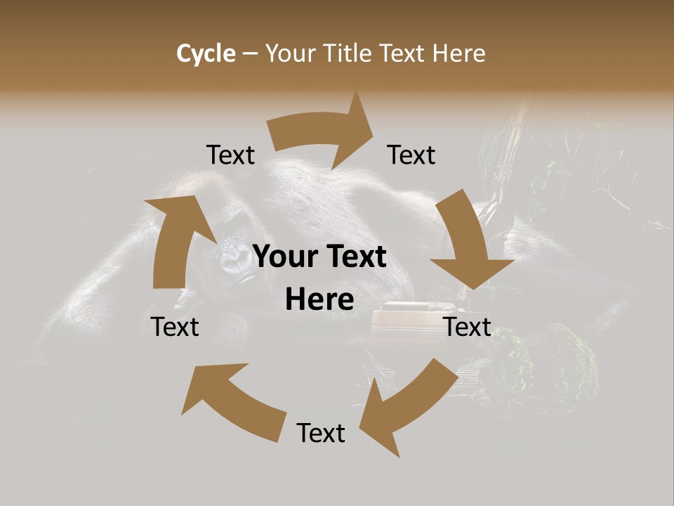 Urwald Baum Affe PowerPoint Template