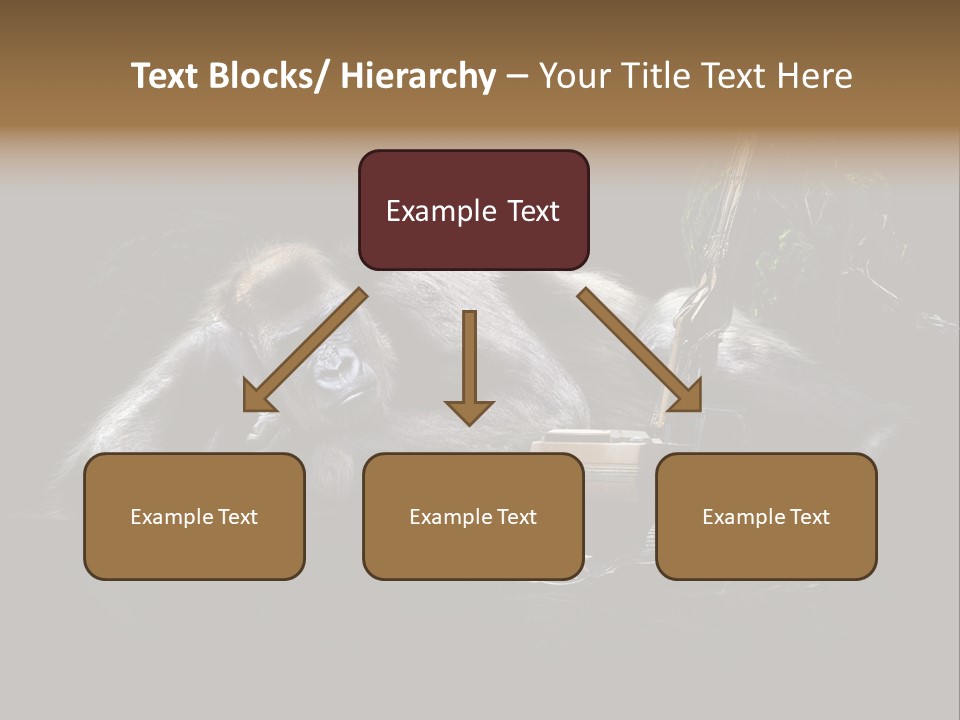 Urwald Baum Affe PowerPoint Template