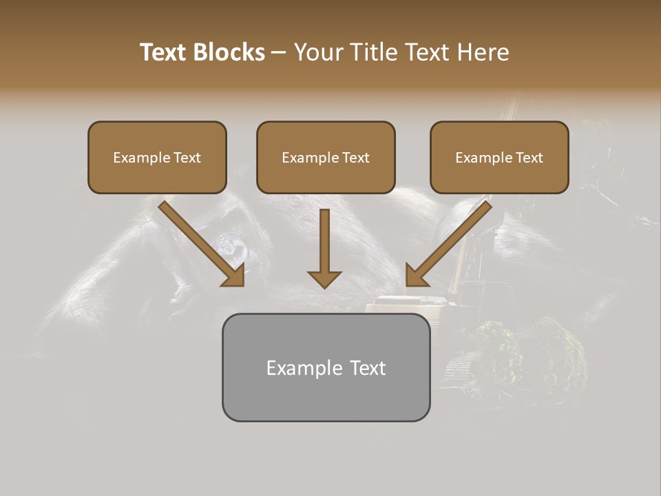 Urwald Baum Affe PowerPoint Template