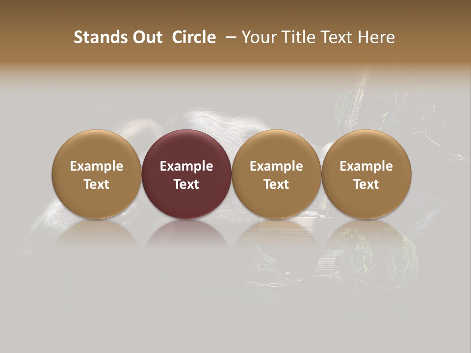 Urwald Baum Affe PowerPoint Template