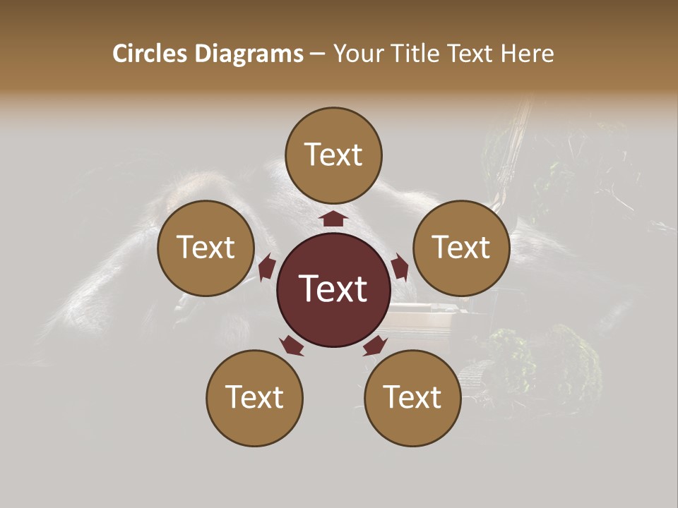 Urwald Baum Affe PowerPoint Template