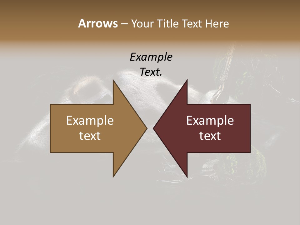 Urwald Baum Affe PowerPoint Template