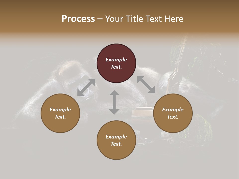 Urwald Baum Affe PowerPoint Template