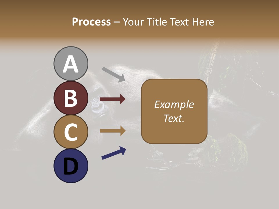 Urwald Baum Affe PowerPoint Template