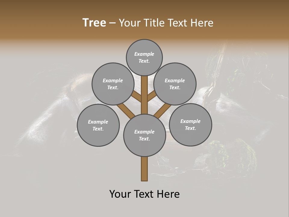 Urwald Baum Affe PowerPoint Template