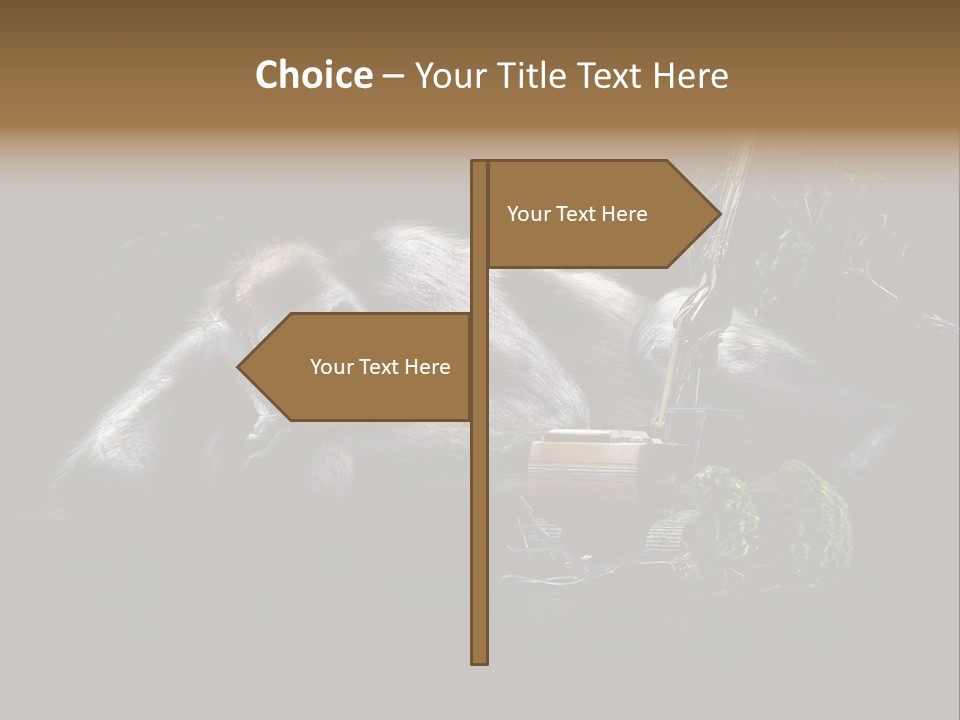 Urwald Baum Affe PowerPoint Template