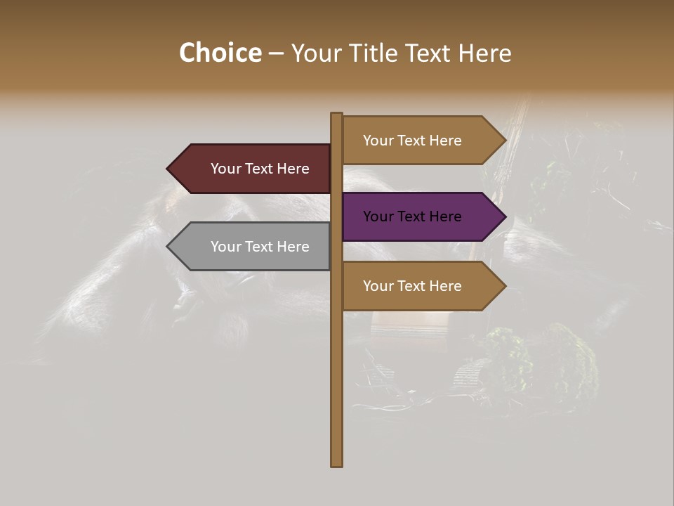 Urwald Baum Affe PowerPoint Template