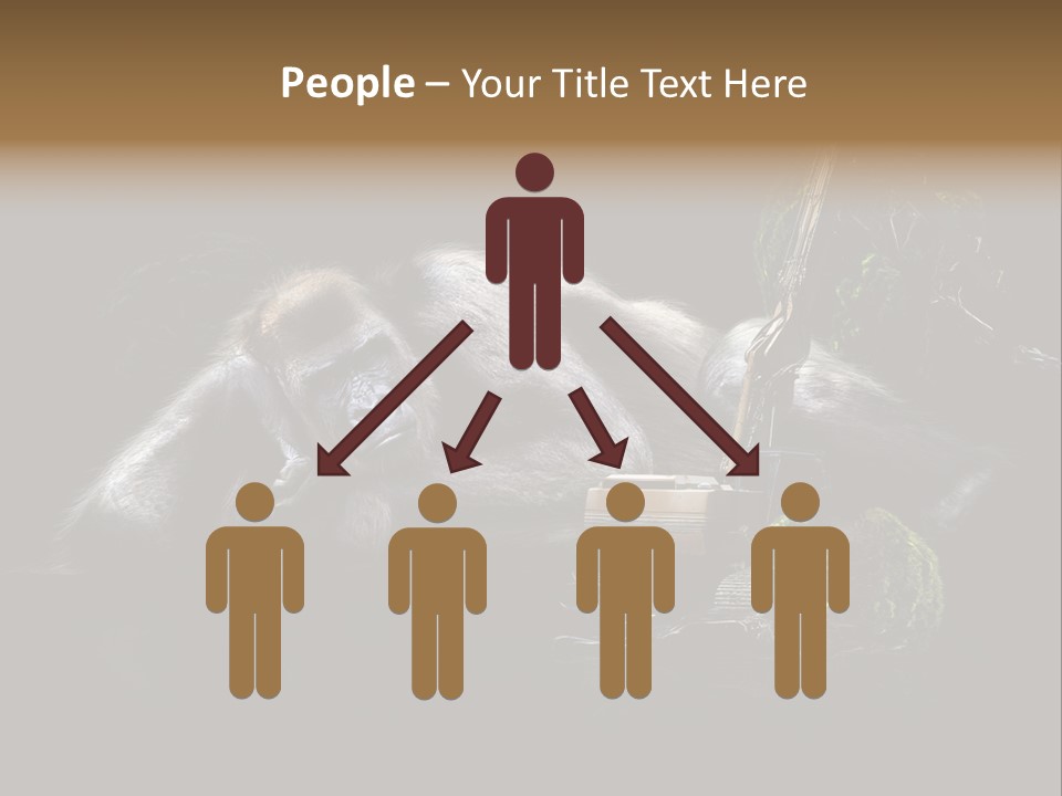 Urwald Baum Affe PowerPoint Template