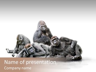 Affenfamilie Affenmensch Affen PowerPoint Template