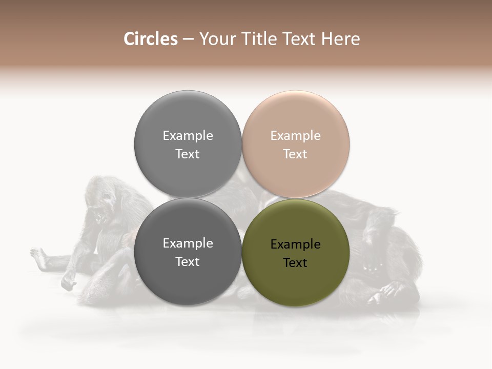 Affenfamilie Affenmensch Affen PowerPoint Template