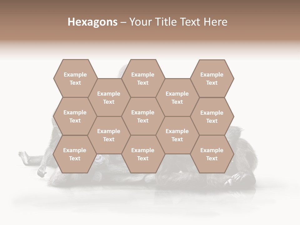 Affenfamilie Affenmensch Affen PowerPoint Template