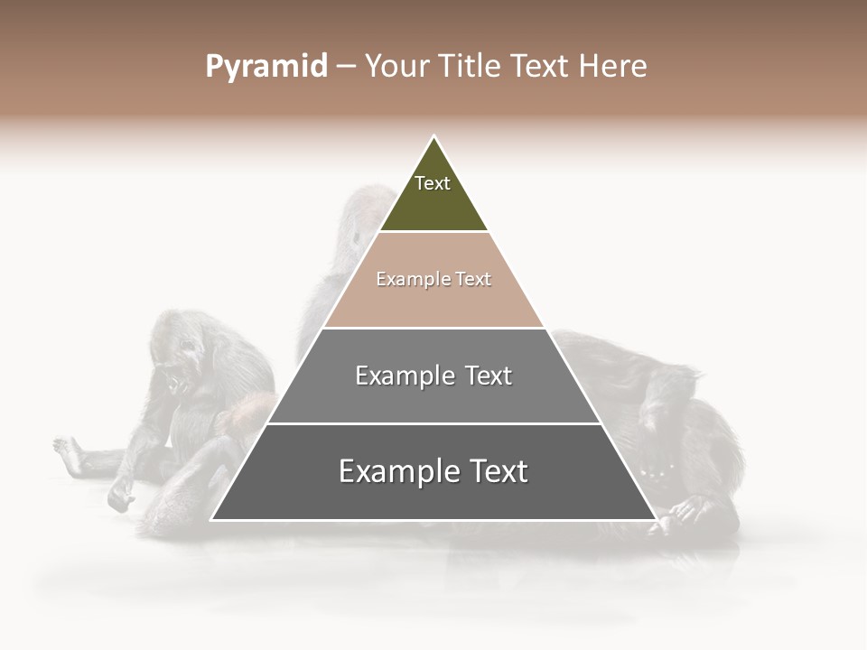 Affenfamilie Affenmensch Affen PowerPoint Template