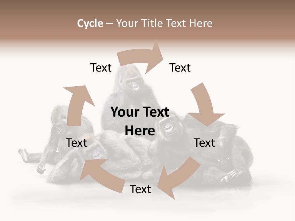 Affenfamilie Affenmensch Affen PowerPoint Template