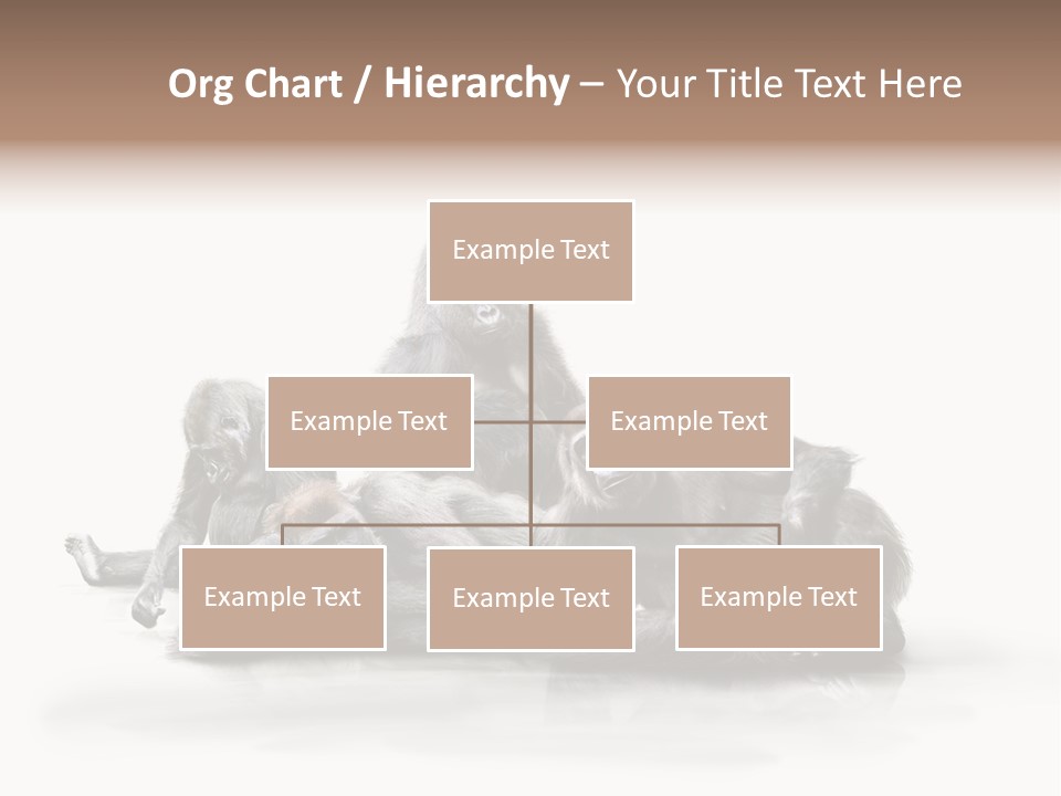 Affenfamilie Affenmensch Affen PowerPoint Template