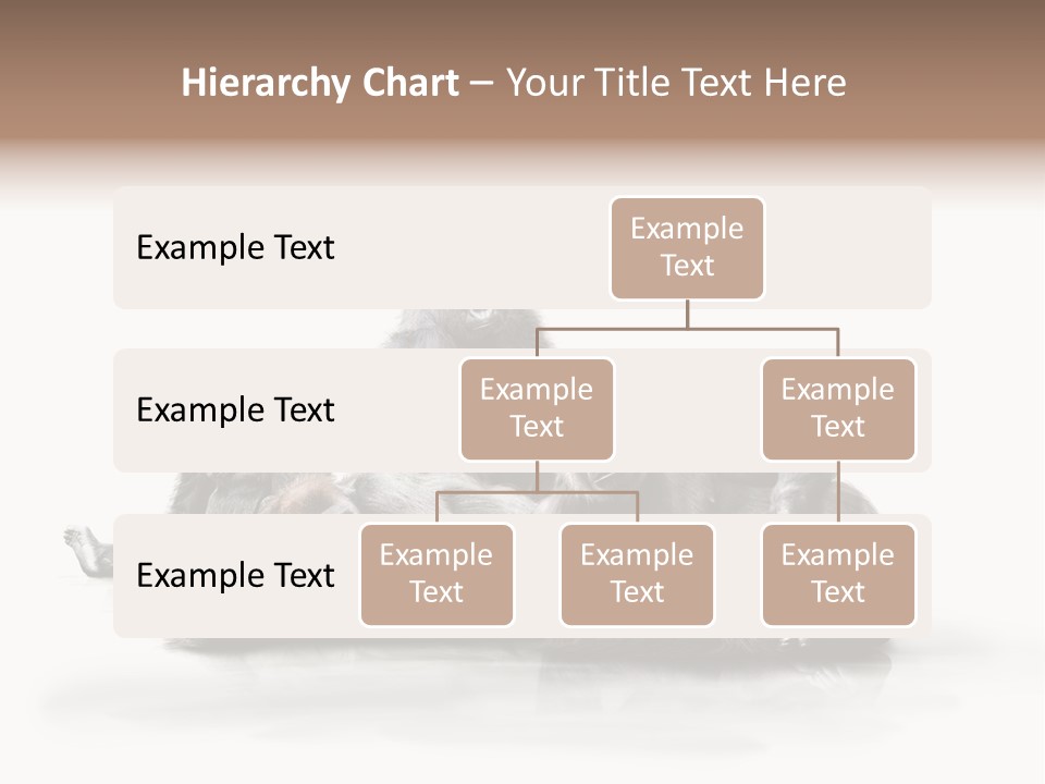 Affenfamilie Affenmensch Affen PowerPoint Template