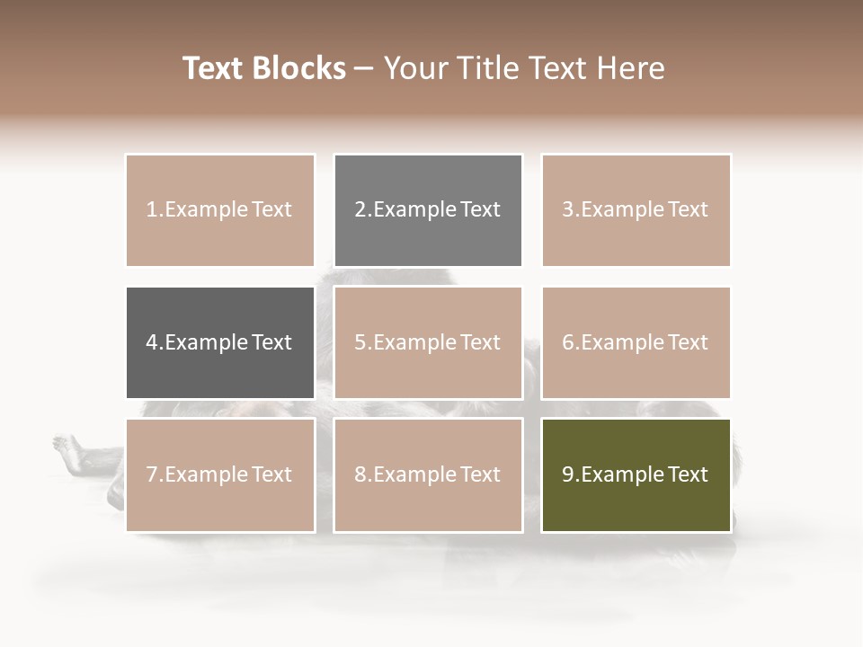 Affenfamilie Affenmensch Affen PowerPoint Template