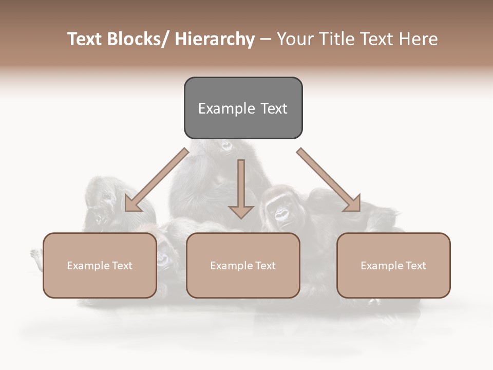 Affenfamilie Affenmensch Affen PowerPoint Template