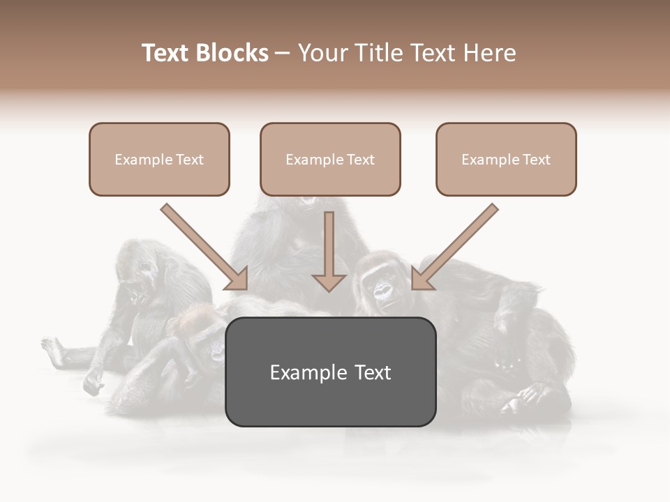 Affenfamilie Affenmensch Affen PowerPoint Template