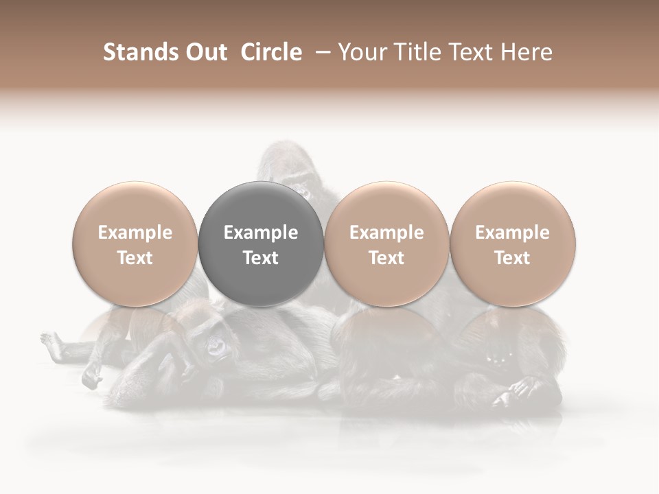 Affenfamilie Affenmensch Affen PowerPoint Template