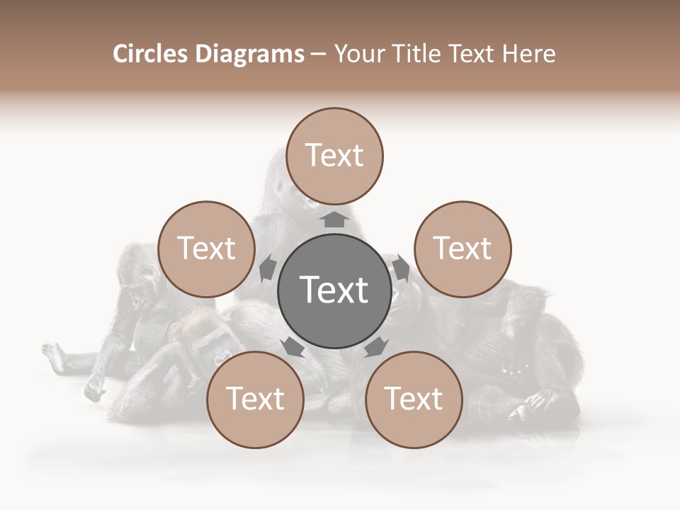 Affenfamilie Affenmensch Affen PowerPoint Template