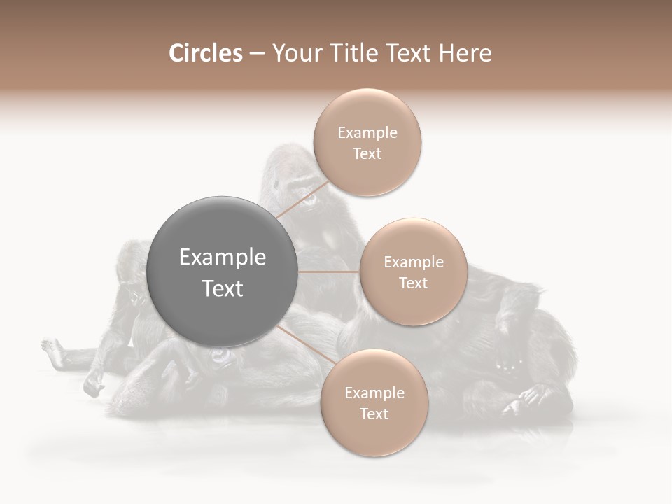 Affenfamilie Affenmensch Affen PowerPoint Template