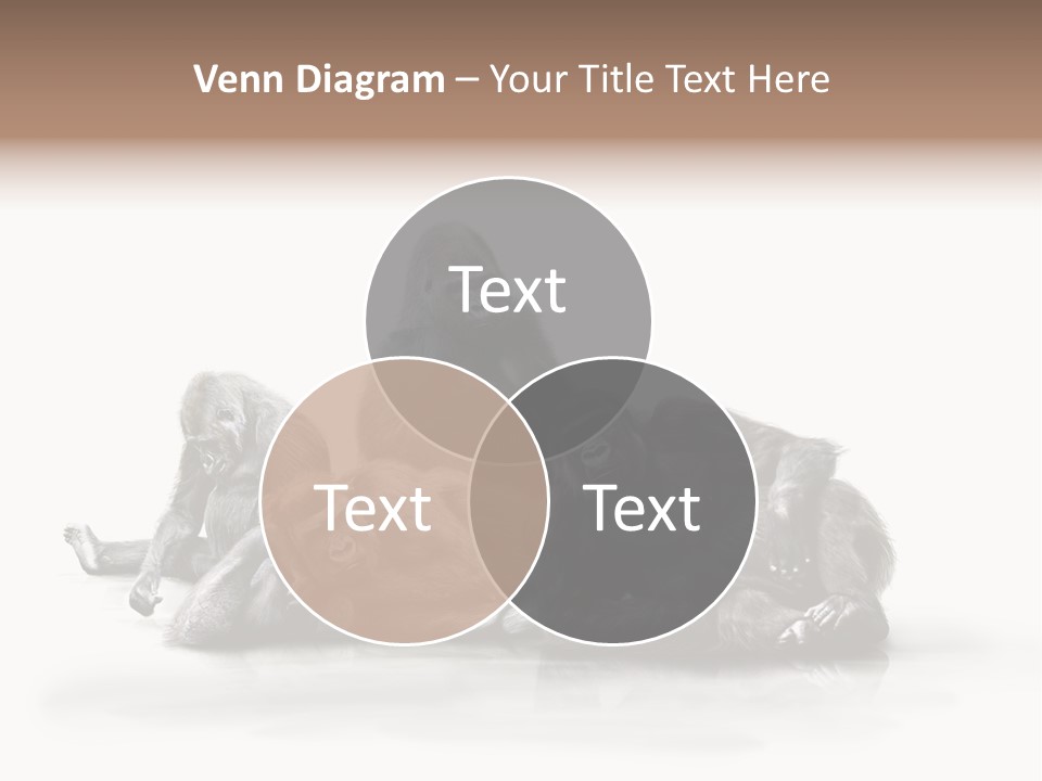 Affenfamilie Affenmensch Affen PowerPoint Template