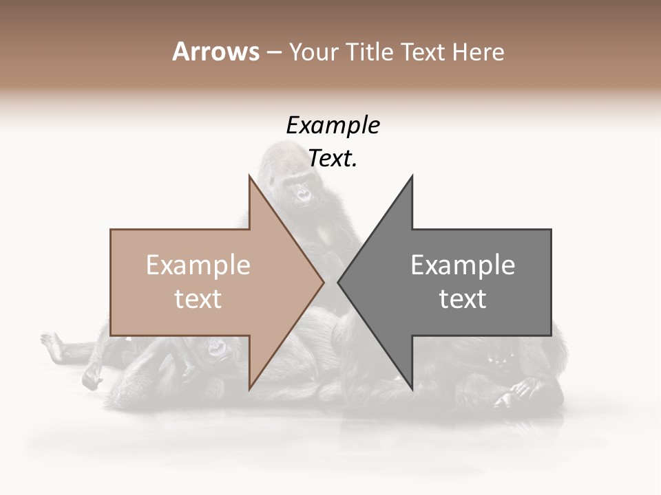 Affenfamilie Affenmensch Affen PowerPoint Template