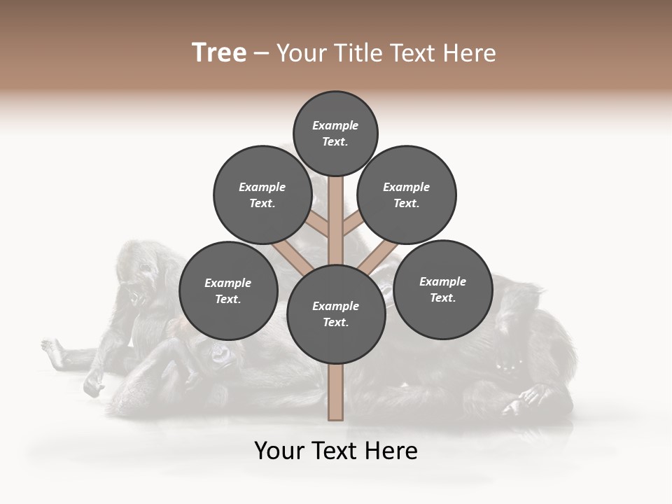 Affenfamilie Affenmensch Affen PowerPoint Template