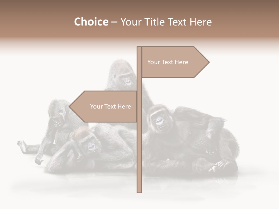 Affenfamilie Affenmensch Affen PowerPoint Template