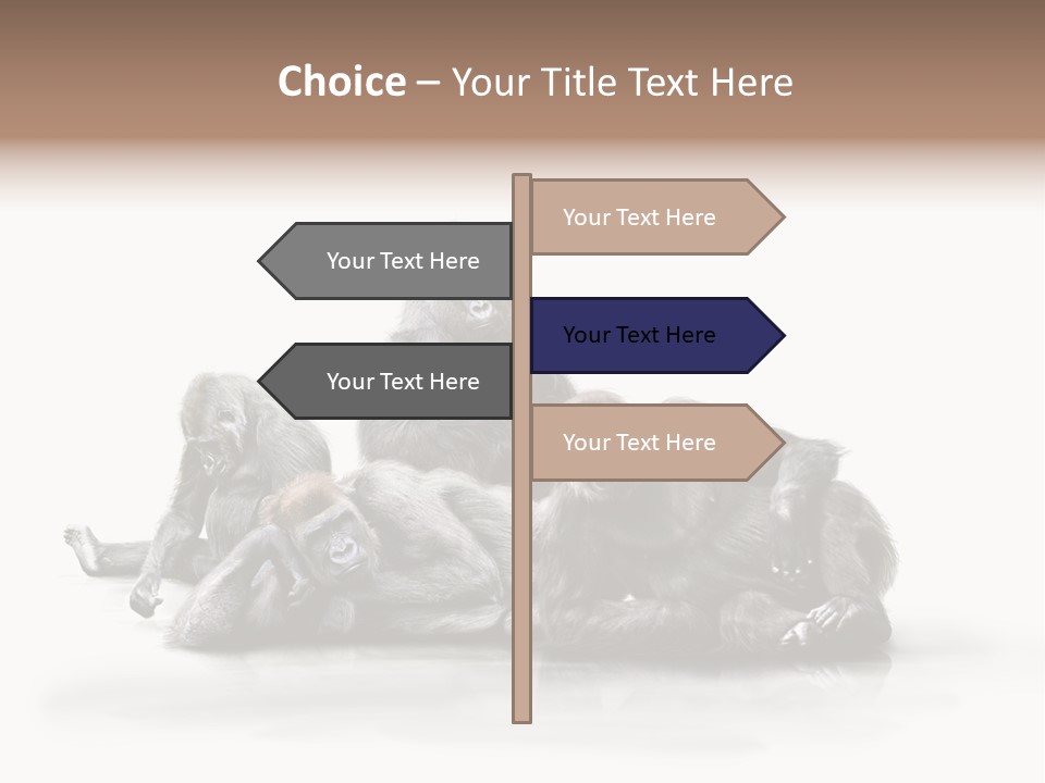 Affenfamilie Affenmensch Affen PowerPoint Template