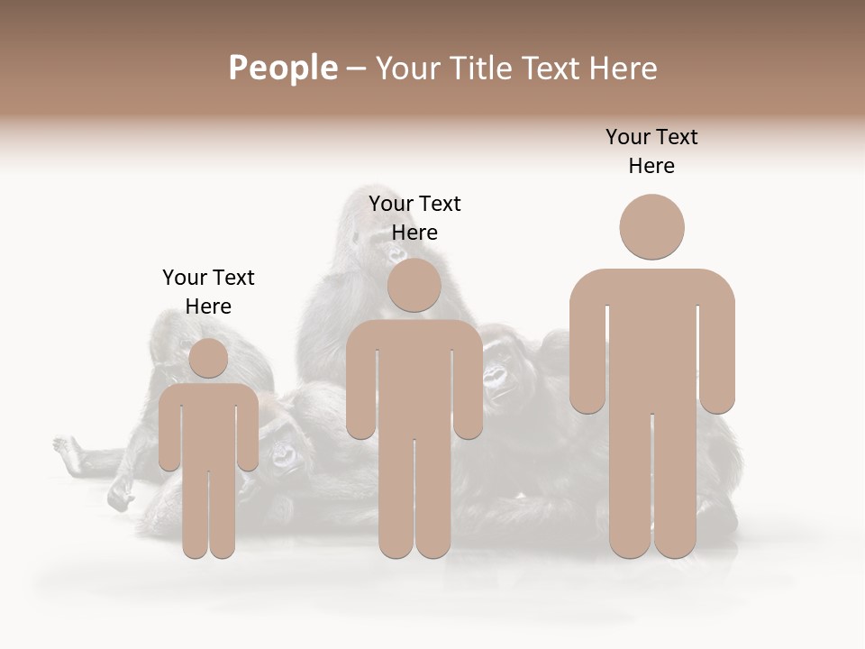 Affenfamilie Affenmensch Affen PowerPoint Template