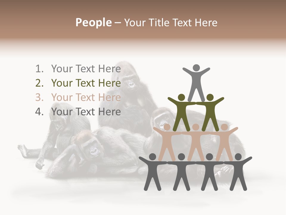 Affenfamilie Affenmensch Affen PowerPoint Template