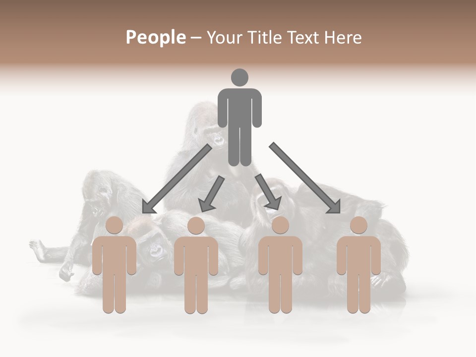 Affenfamilie Affenmensch Affen PowerPoint Template