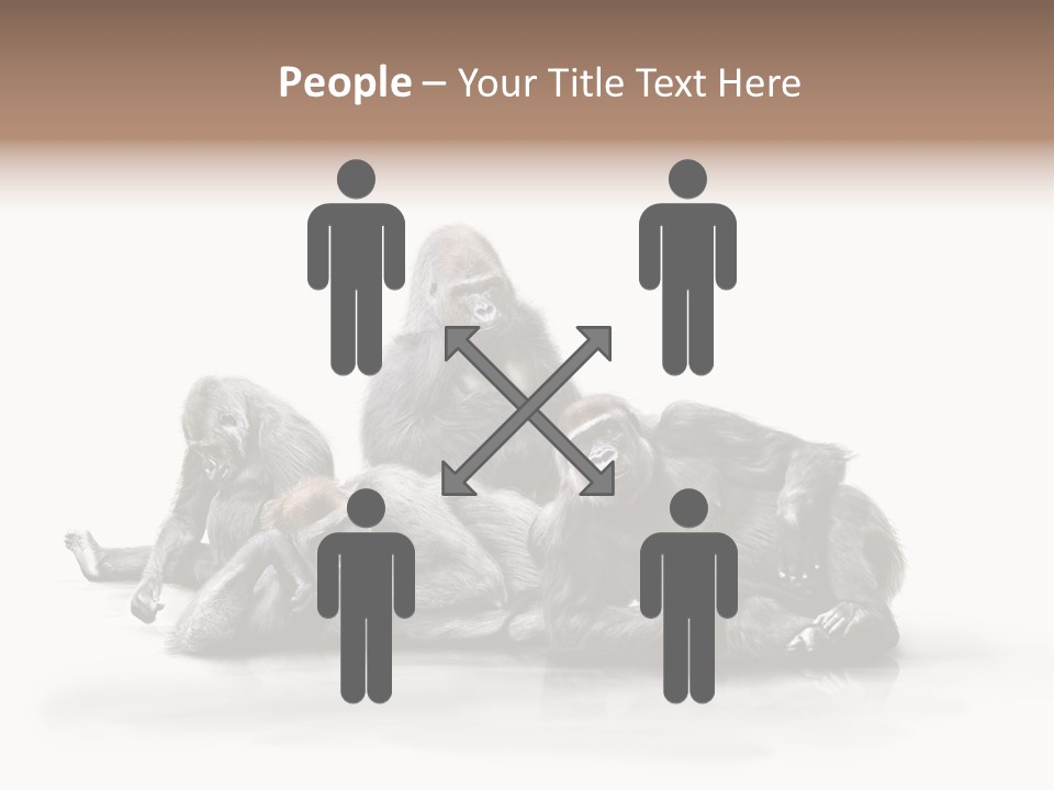 Affenfamilie Affenmensch Affen PowerPoint Template