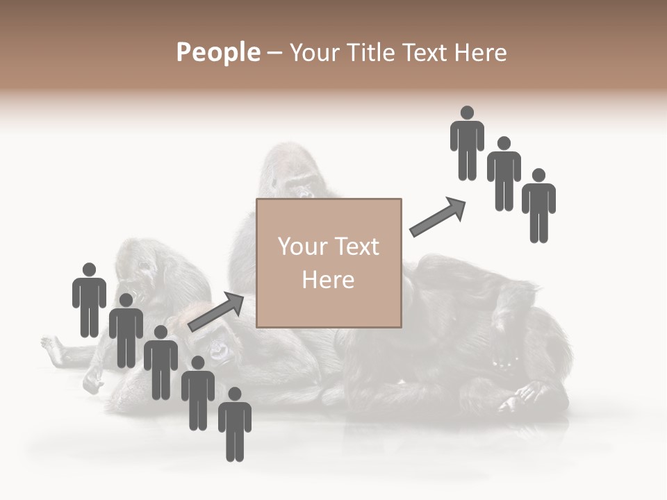 Affenfamilie Affenmensch Affen PowerPoint Template