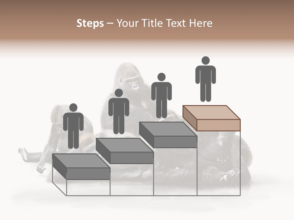 Affenfamilie Affenmensch Affen PowerPoint Template