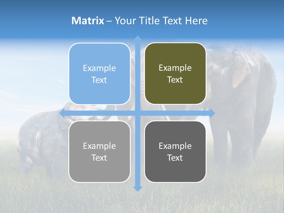 Elefantenbaby Liebe Lieb PowerPoint Template