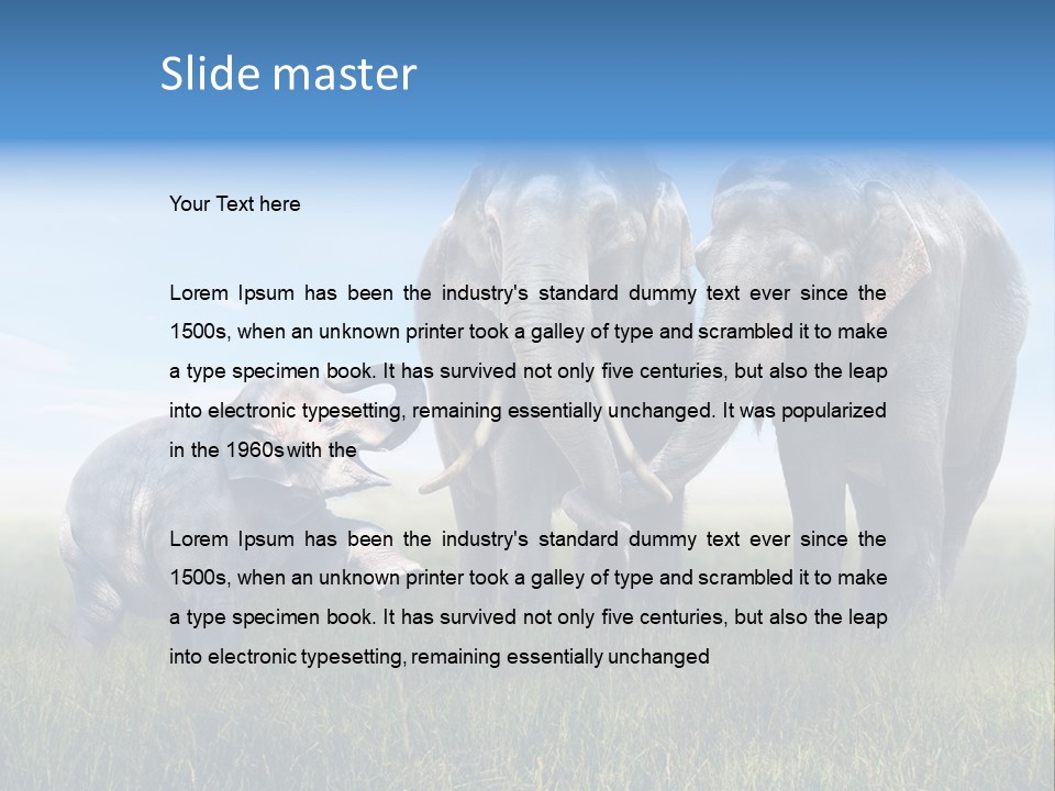 Elefantenbaby Liebe Lieb PowerPoint Template