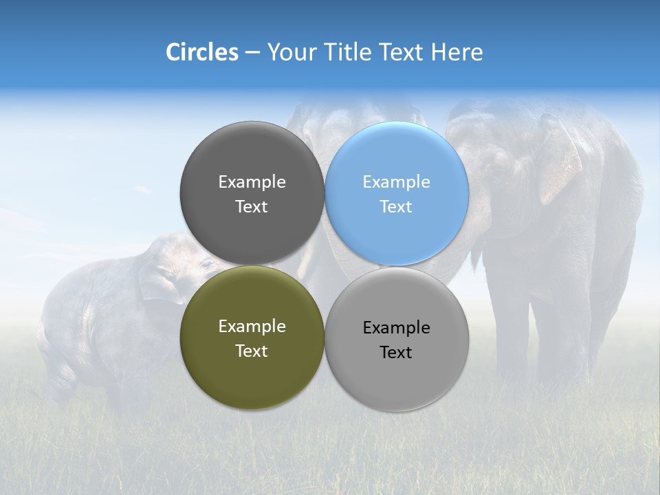 Elefantenbaby Liebe Lieb PowerPoint Template