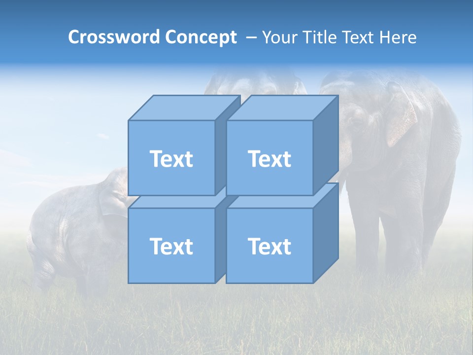 Elefantenbaby Liebe Lieb PowerPoint Template