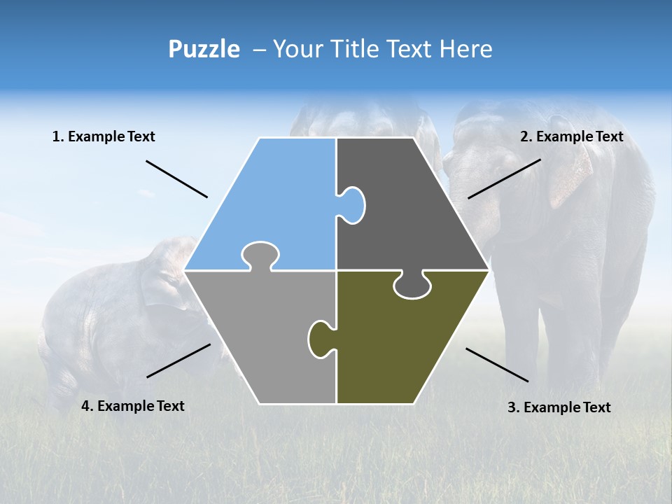 Elefantenbaby Liebe Lieb PowerPoint Template