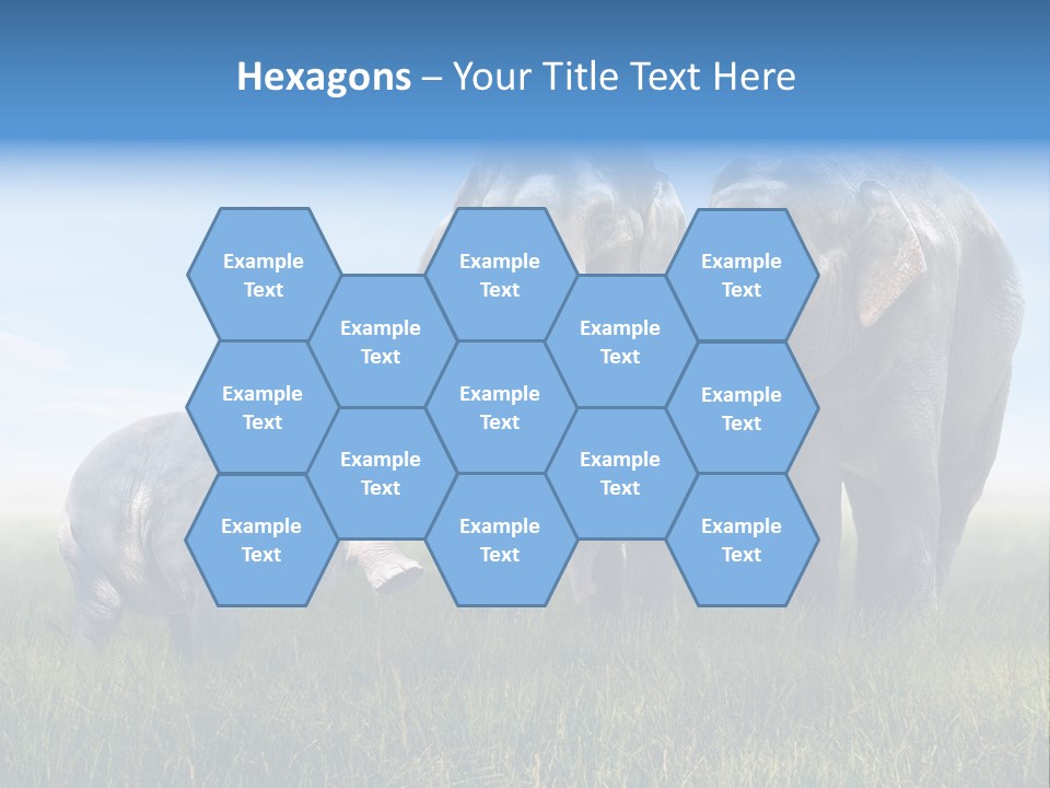 Elefantenbaby Liebe Lieb PowerPoint Template