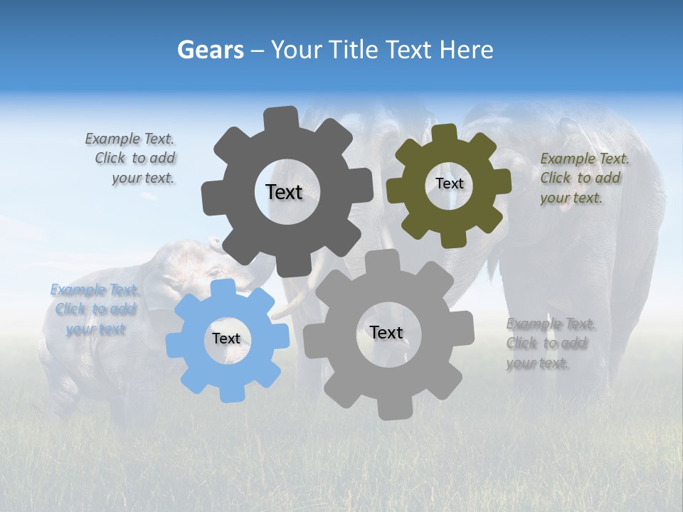 Elefantenbaby Liebe Lieb PowerPoint Template