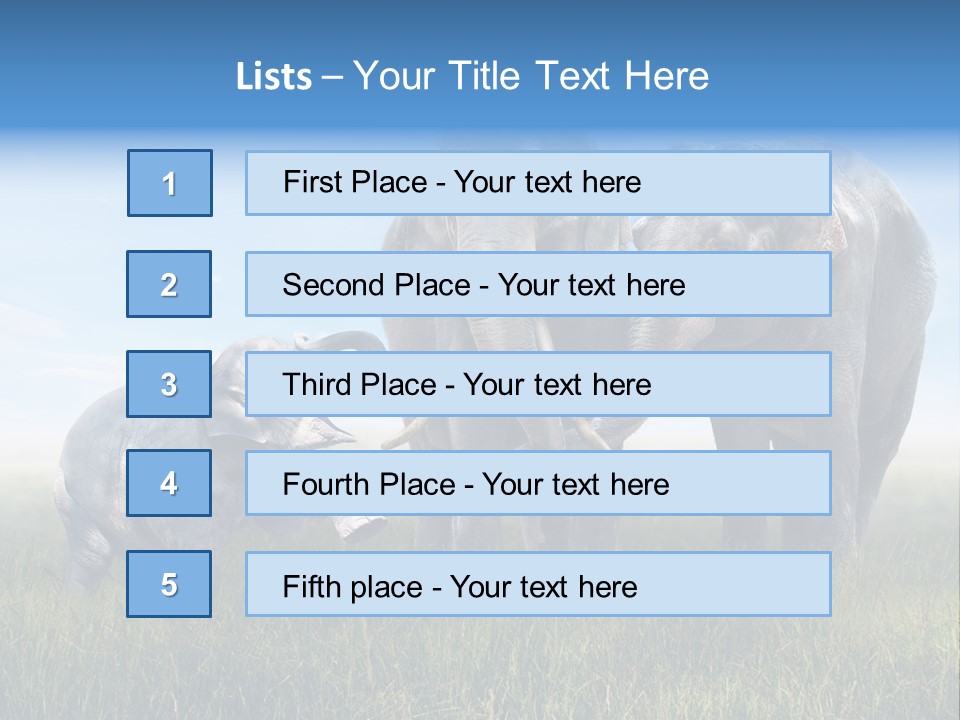 Elefantenbaby Liebe Lieb PowerPoint Template