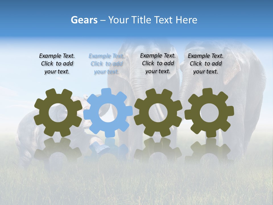 Elefantenbaby Liebe Lieb PowerPoint Template