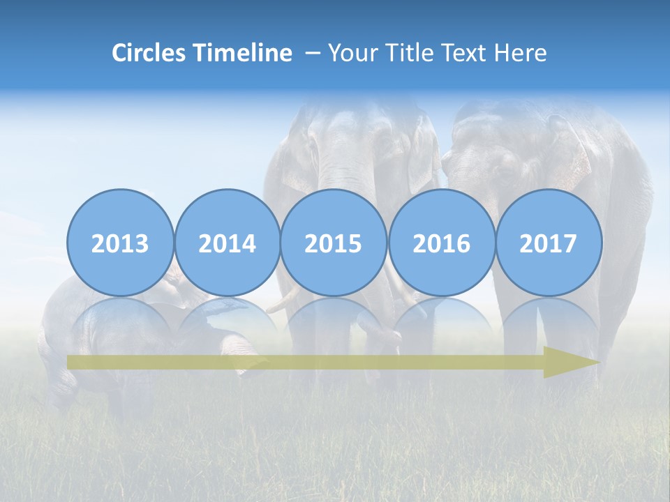 Elefantenbaby Liebe Lieb PowerPoint Template